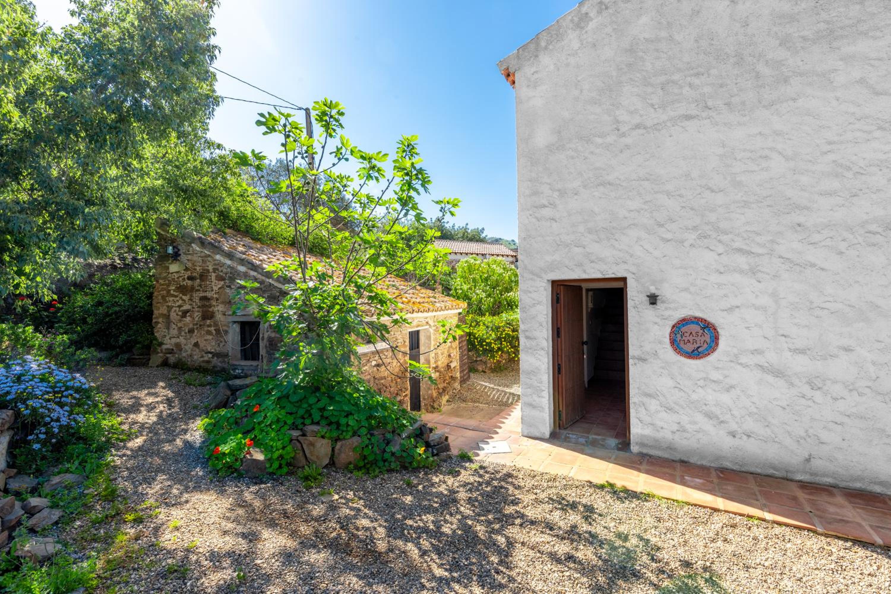 Finca Las Nuevas Casa Maria Arriba