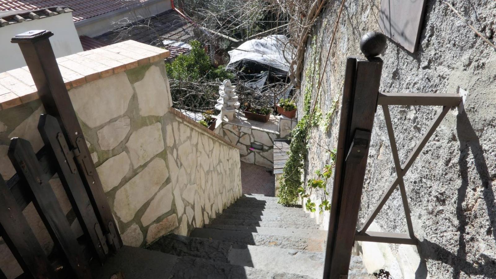 Photo 24