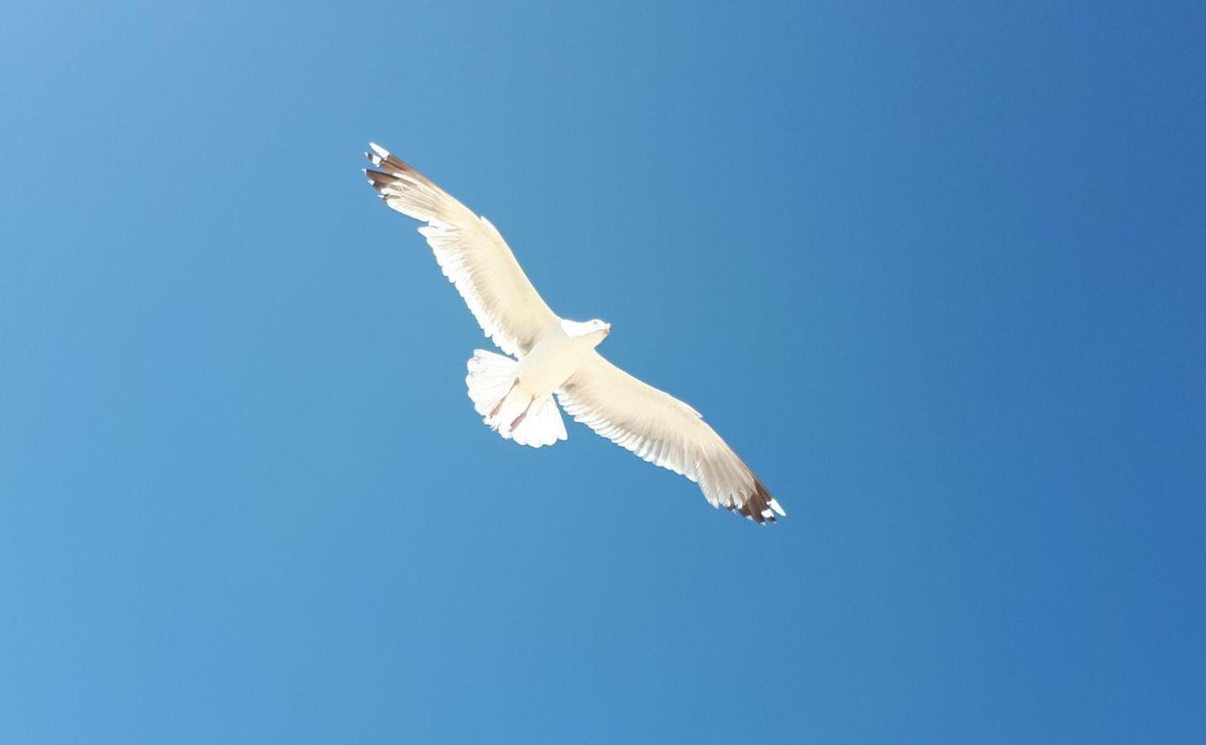 Photo 46
