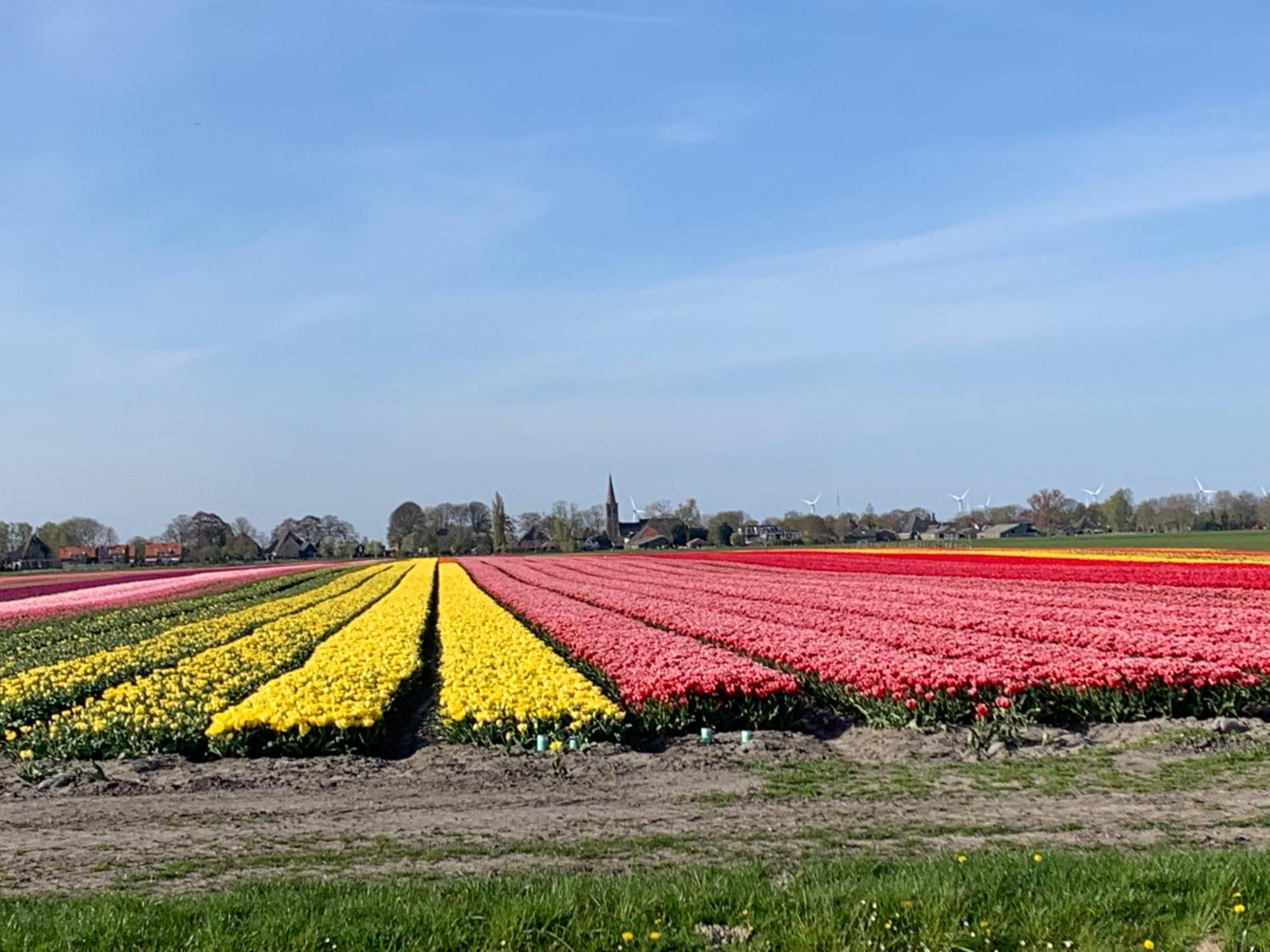 Het Twiscker Huys view 3