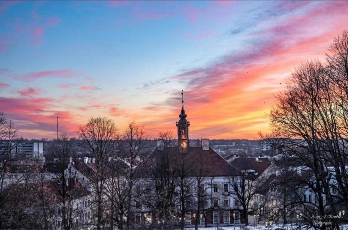 Lossi Old Town Apartment