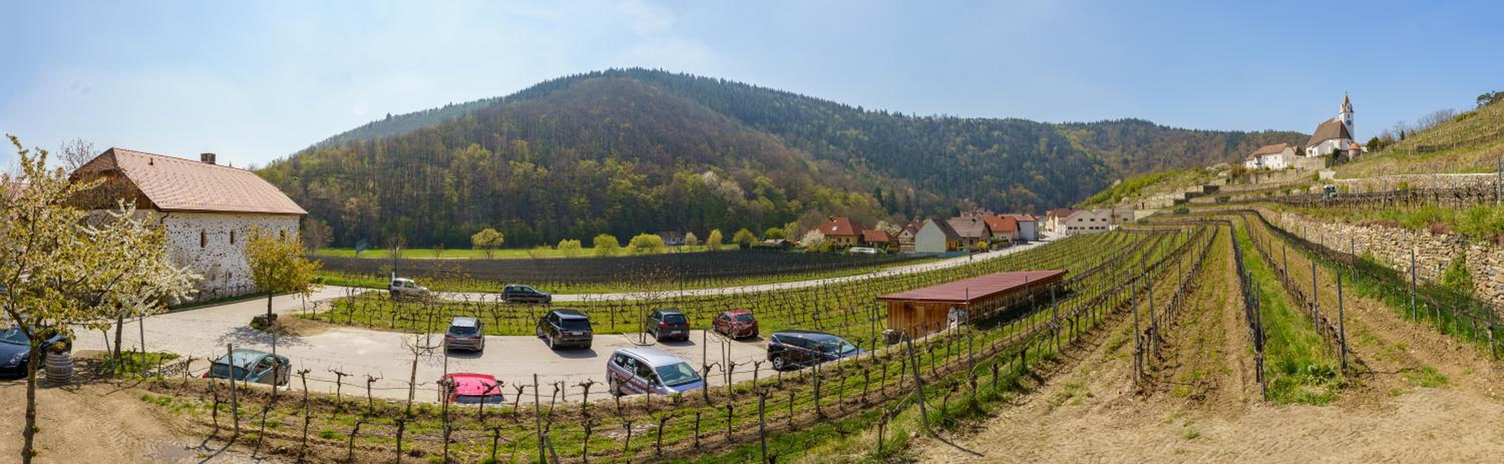 Weinhaus Nigl - Hotel, Restaurant und Spa
