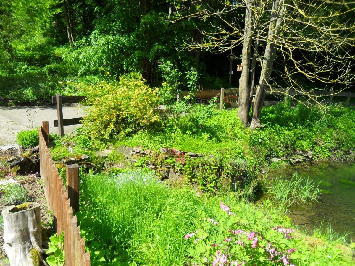 Höllenmühle Bed & Breakfast at the Mill Pond