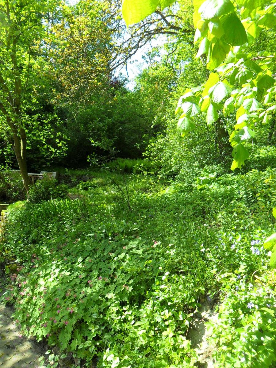 Höllenmühle Bed & Breakfast at the Mill Pond