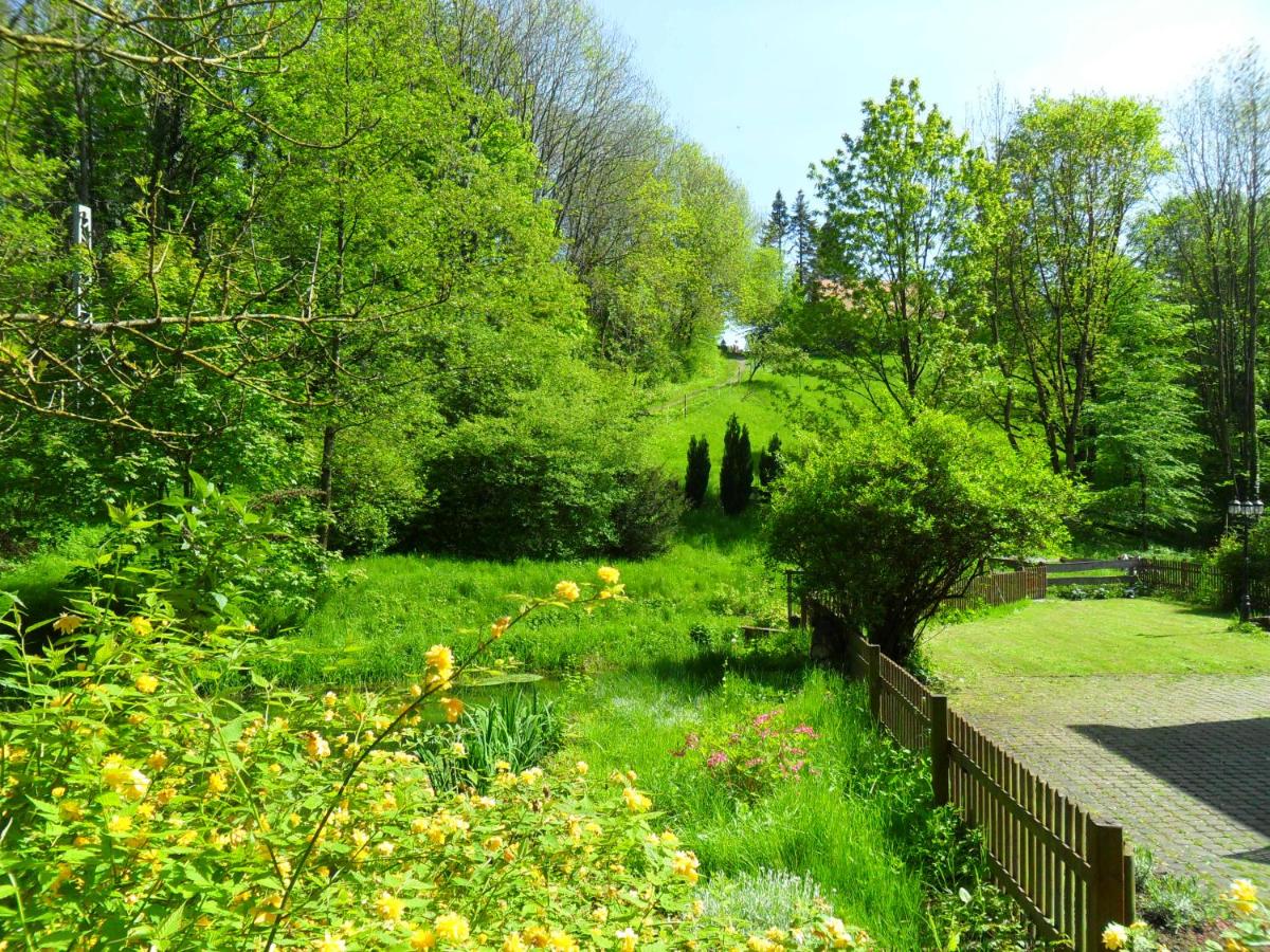 Höllenmühle Bed & Breakfast at the Mill Pond