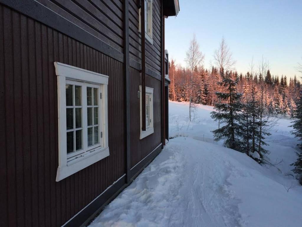 Flat in Trysil Ski in ski out and sauna view 4
