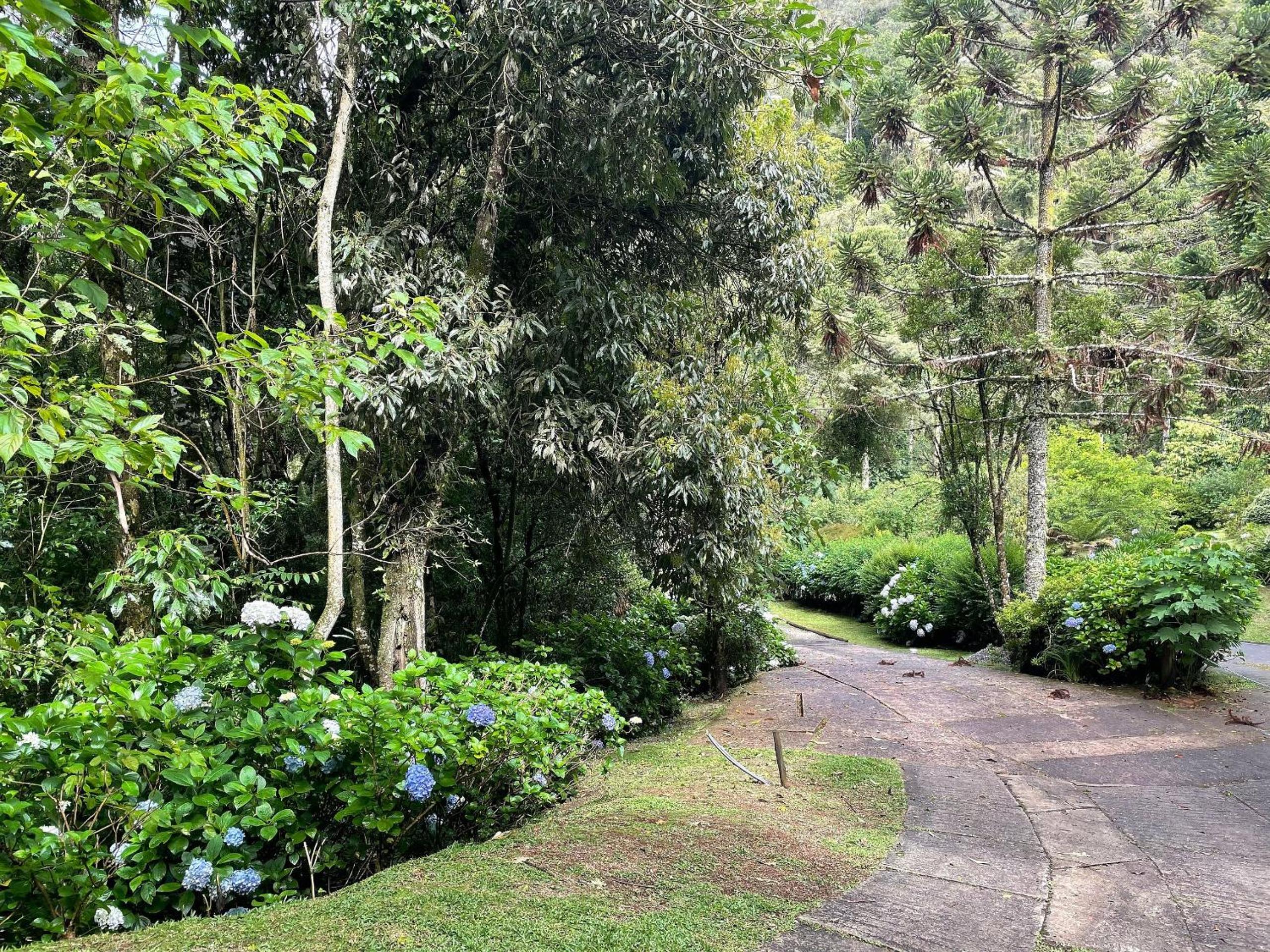 House with gourmet area near Amantikir Park
