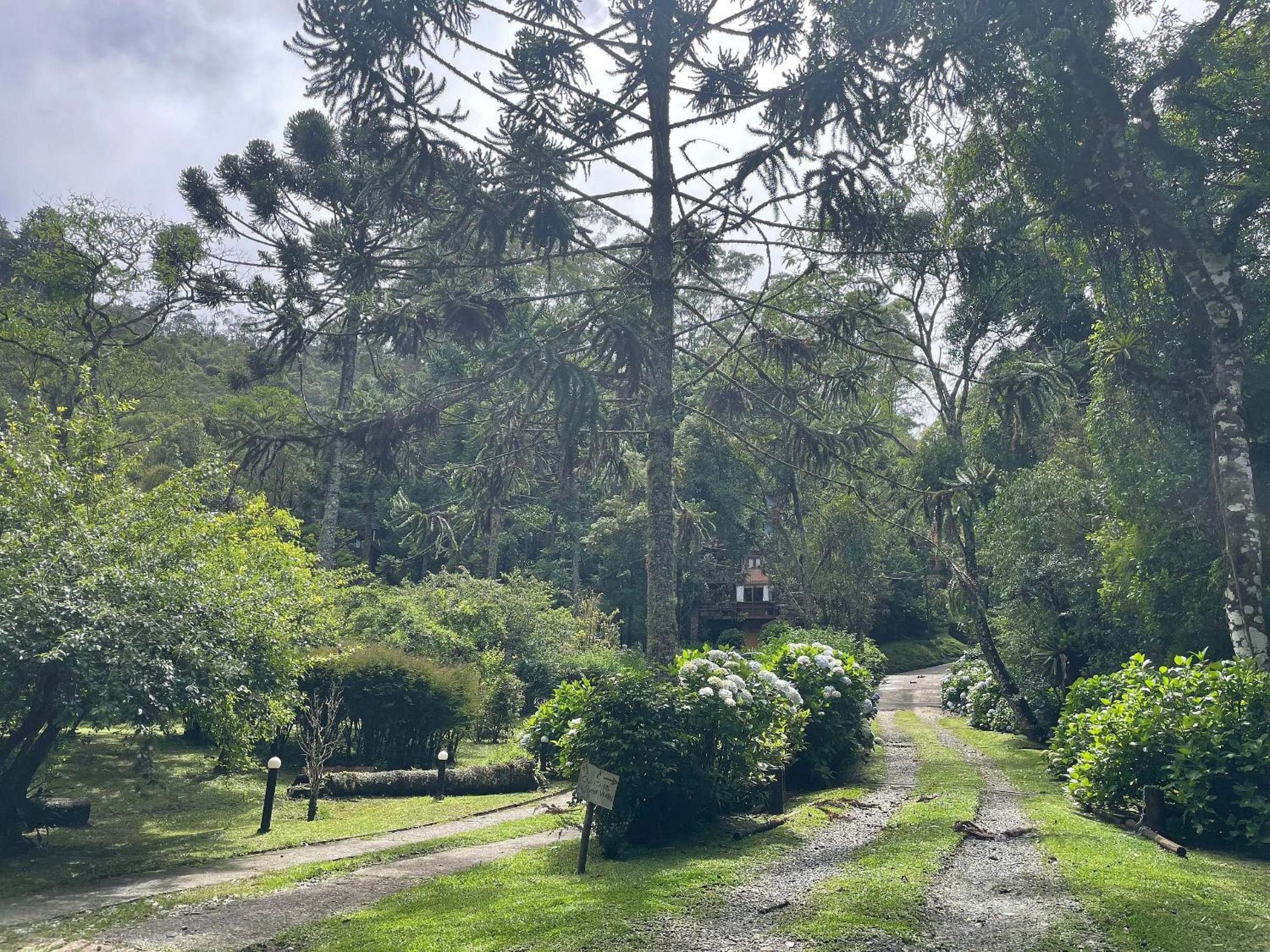House with gourmet area near Amantikir Park