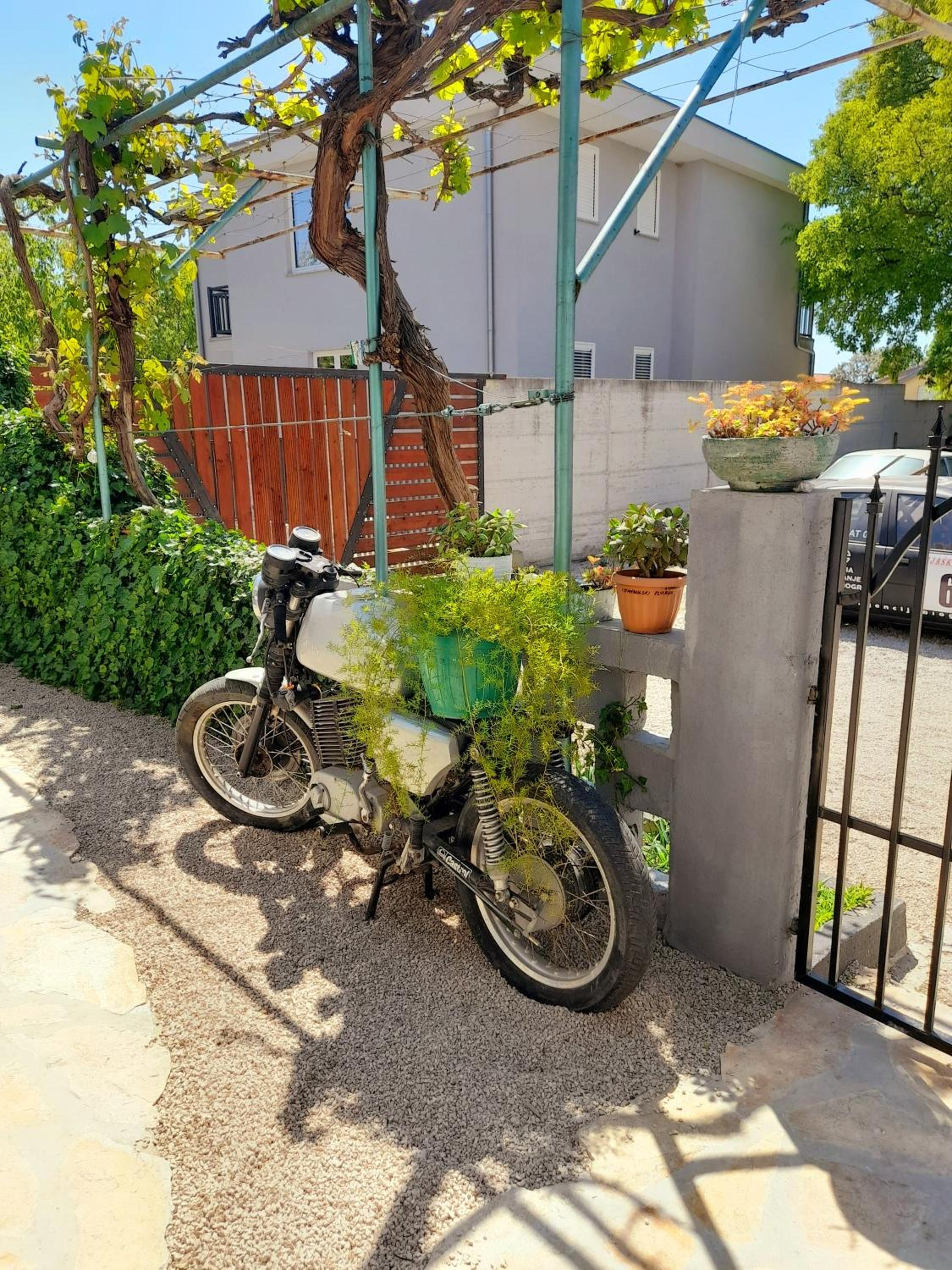 Photo 25