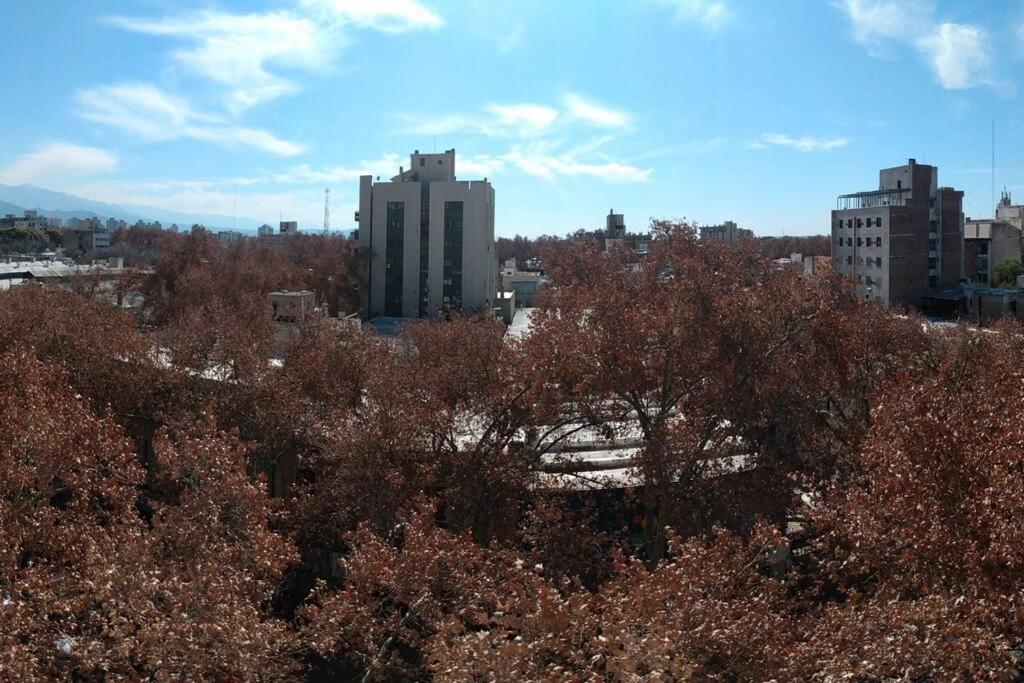 Amplio departamento en zona turística de Mendoza