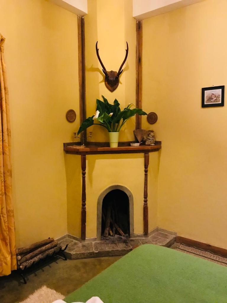 Photo 28