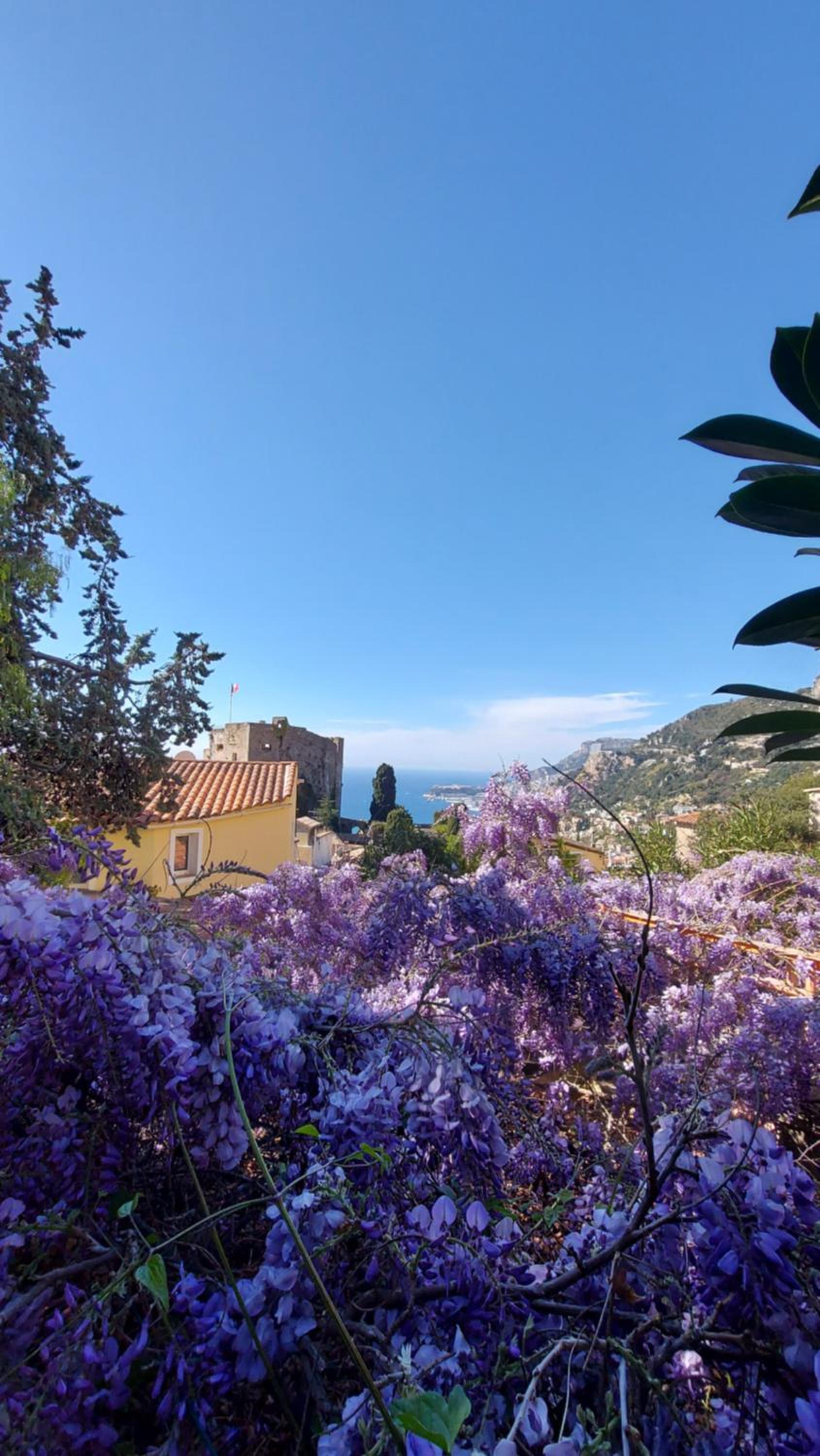 La Bombonière & Spa, photo 21
