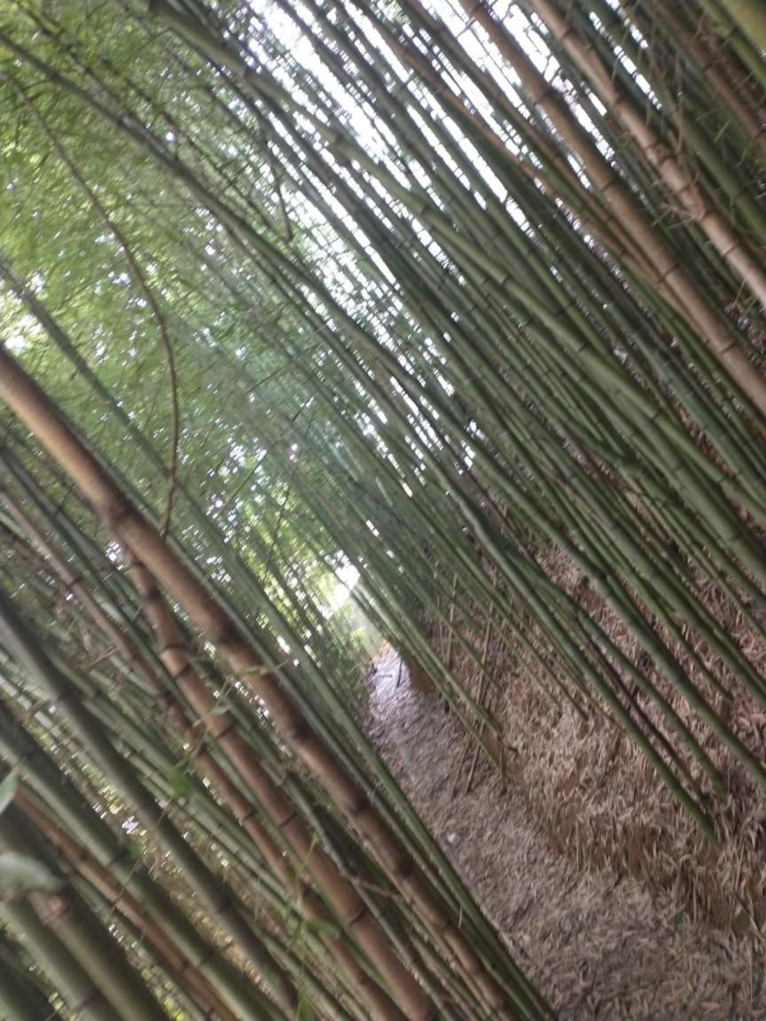 Photo 127