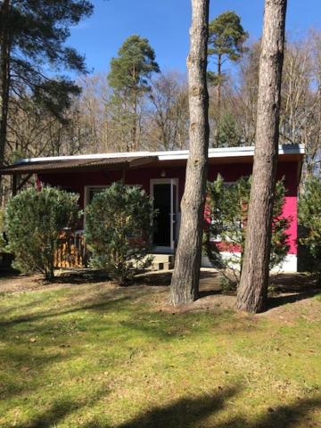 Gast- Logierhaus Am Rheinsberger See - Property Image 63