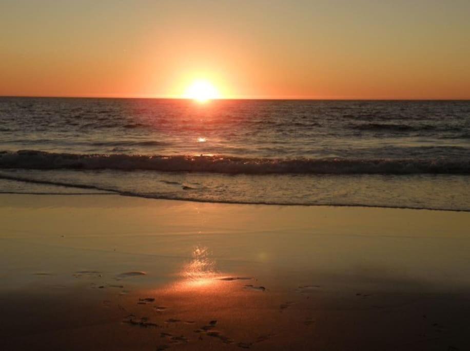Photo 50