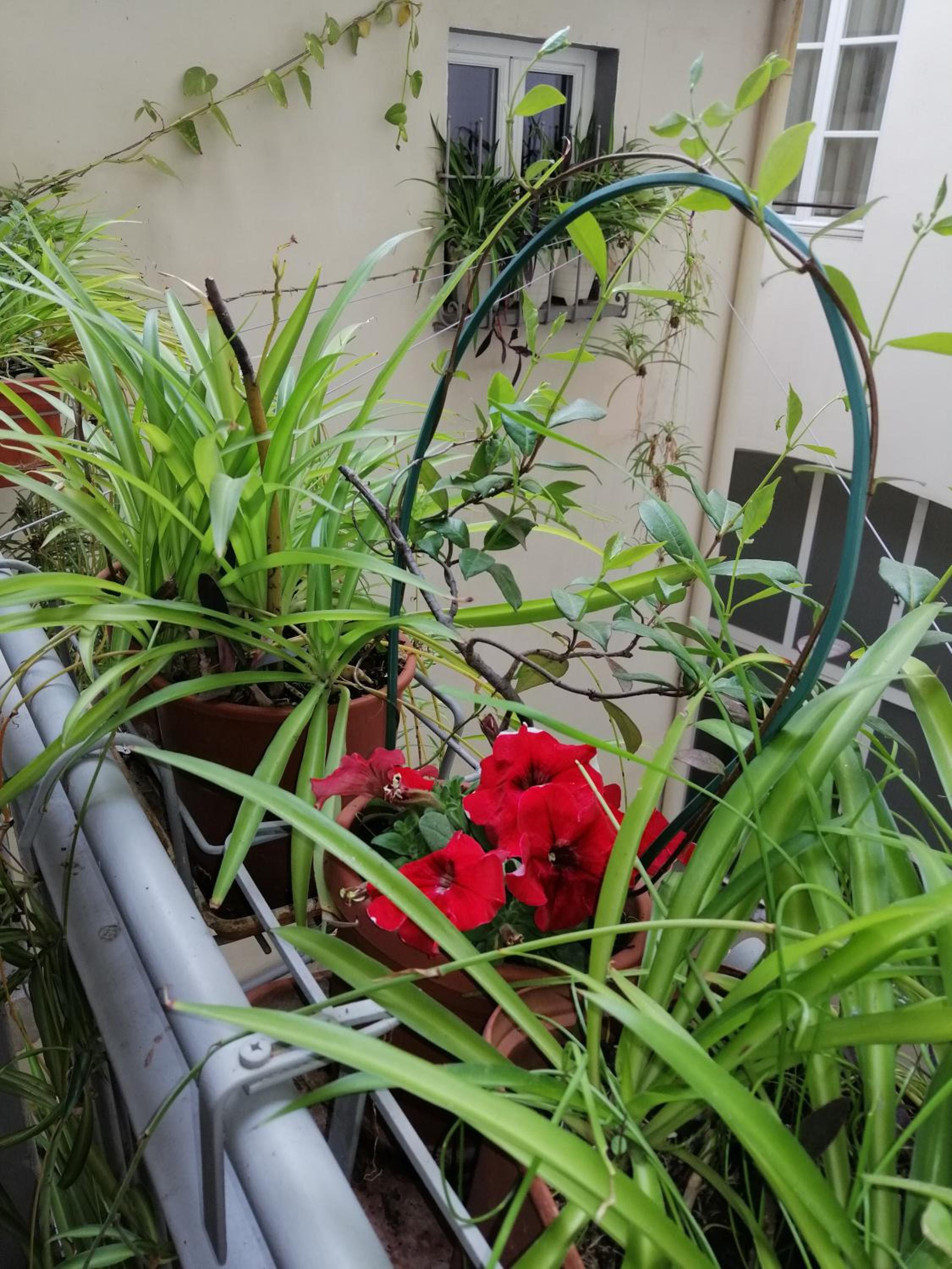 Florence Pitti Loft photo 2