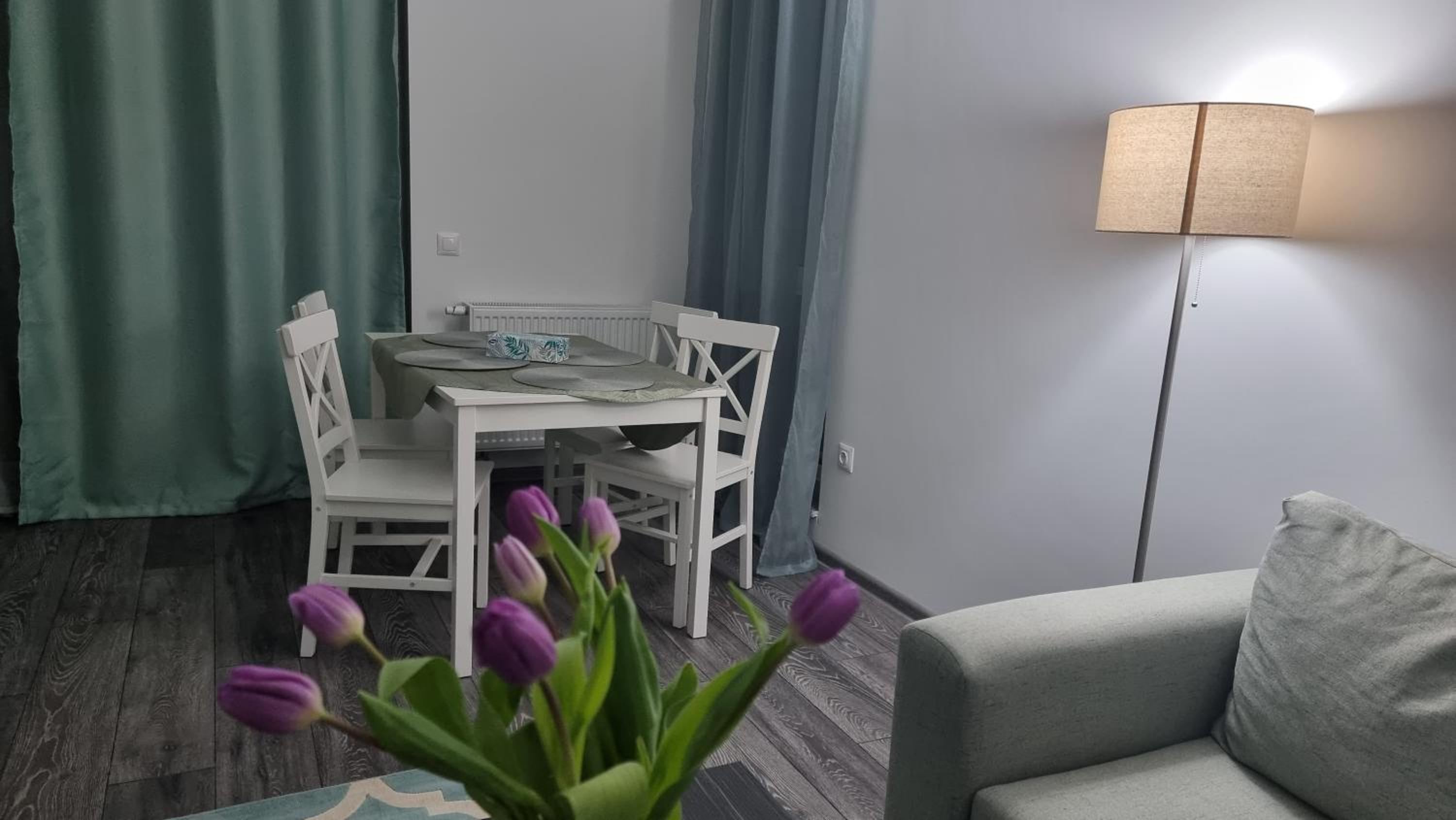 Swan Brasov Apartment view 5