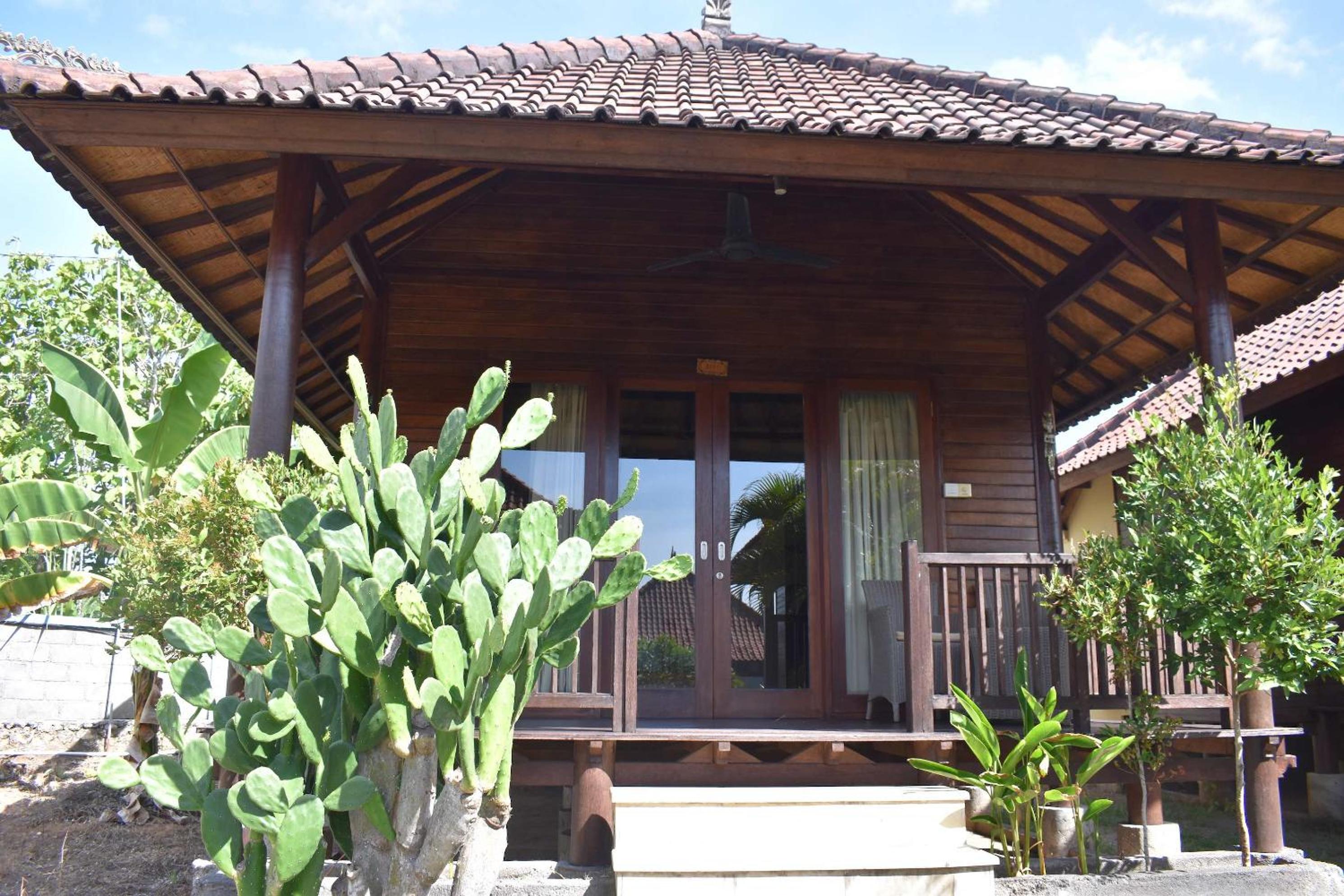 Bali Belva
