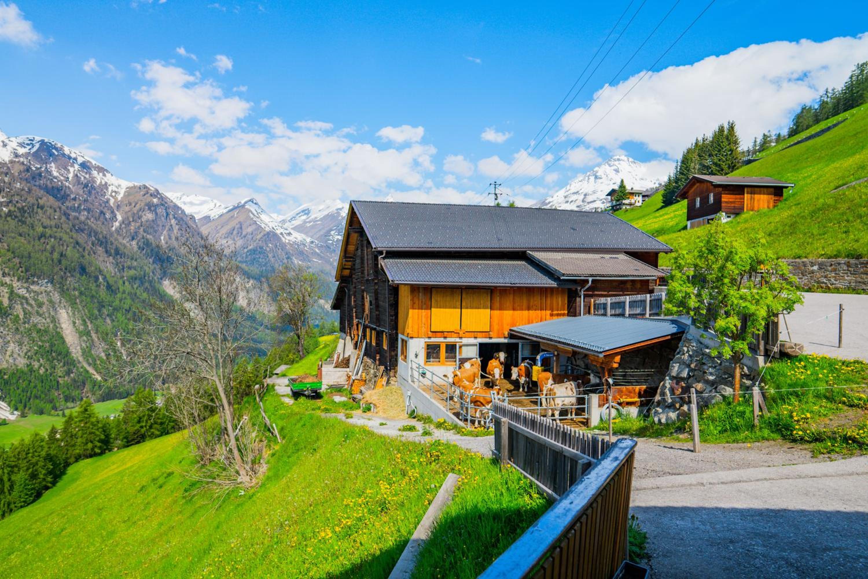 Appartement Seppenbauer - Seppenbauerhof, Kärnten Card inklusive, Ticket Großglockner Hochalpenstraße