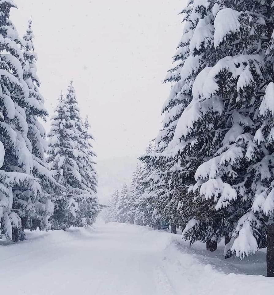 HASI hotel Jermuk