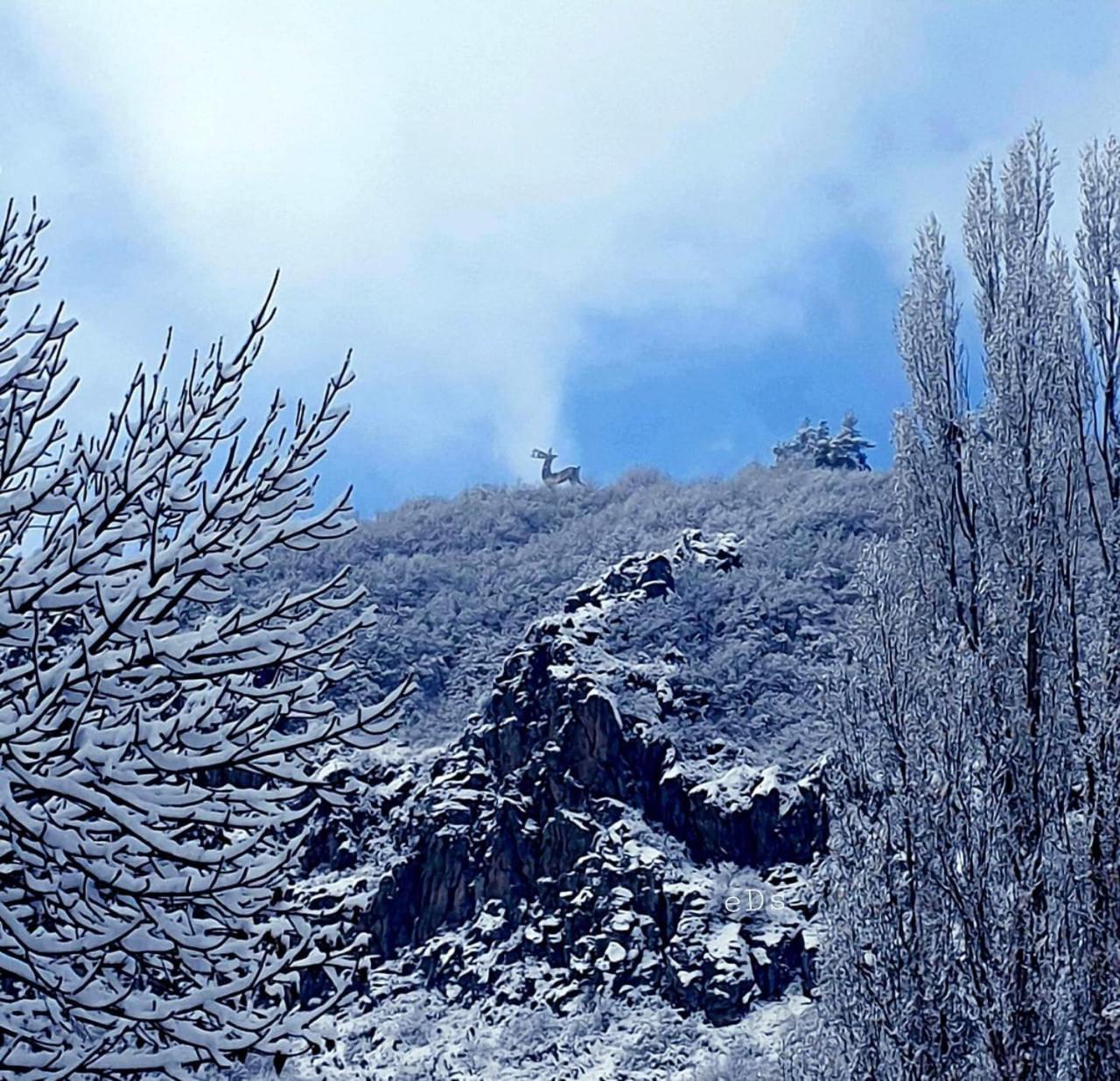 HASI hotel Jermuk