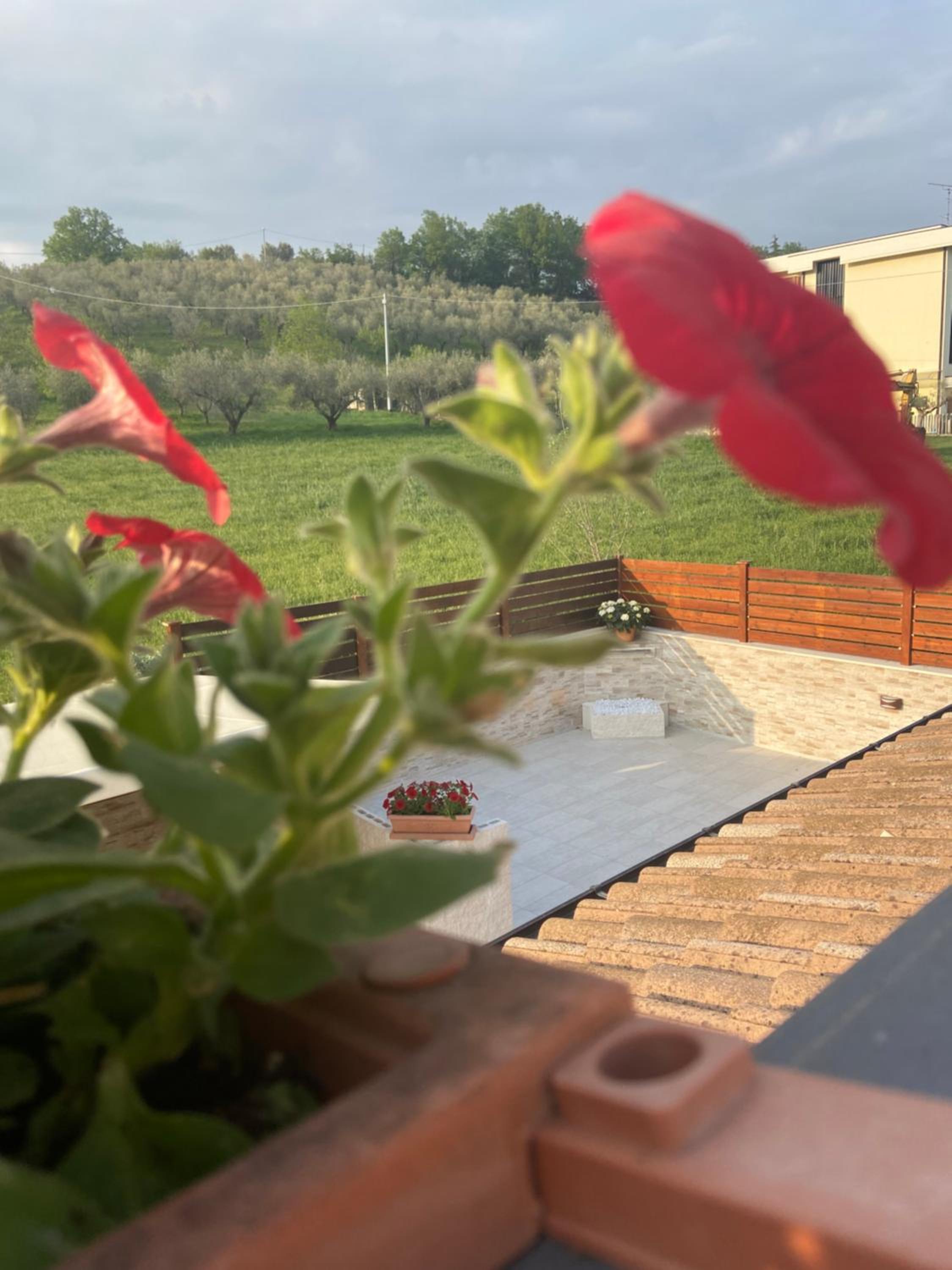Bed & Breakfast Memory view 4