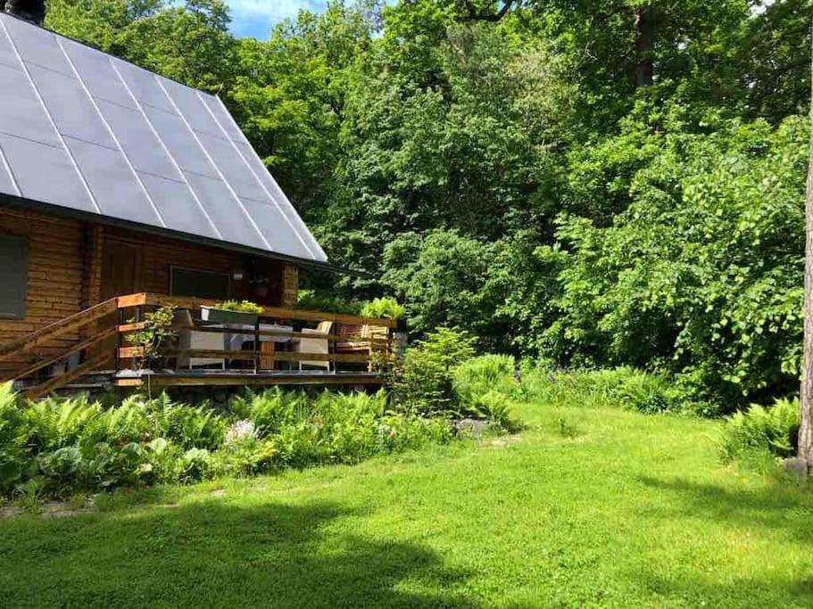 Wooden house in the nature