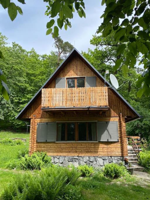 Wooden house in the nature