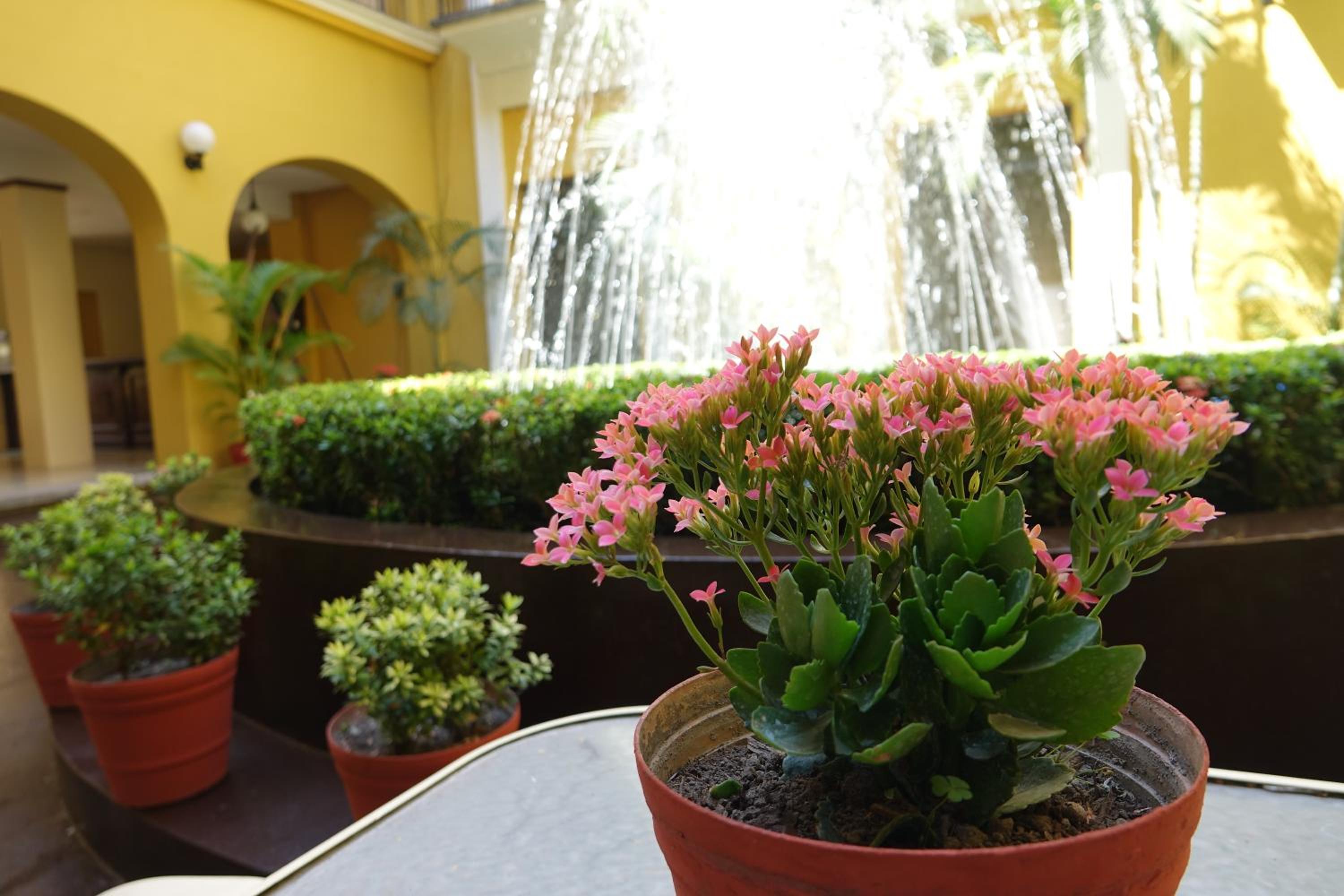 Colima Vacations - Hotel America - Property Image 7