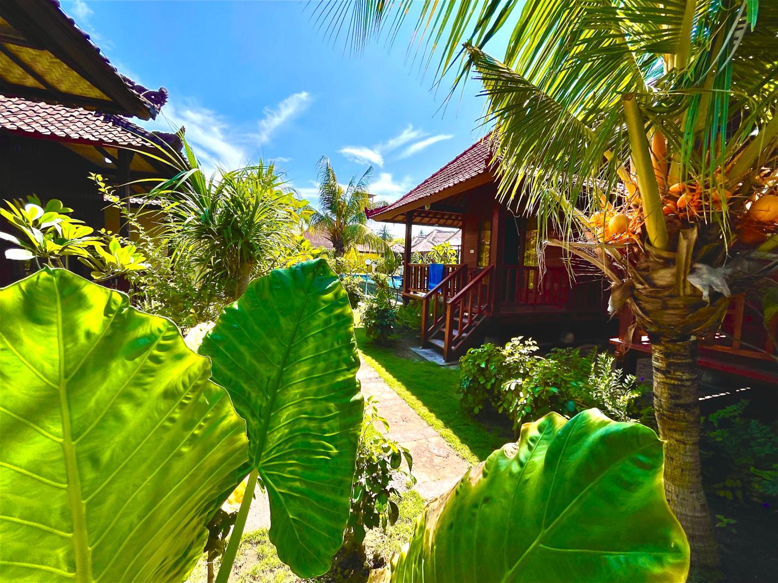 Lembongan Tropical Guesthouse view 4