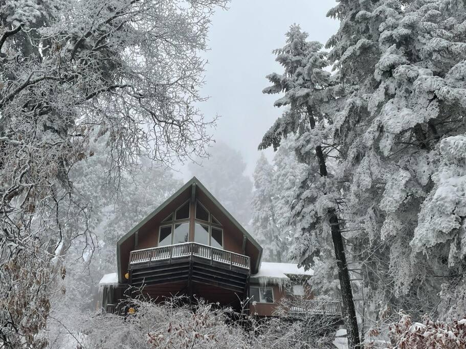 Three Rivers Vacations - Sweet getaway in private Giant Sequoia Grove! - Property Image 1