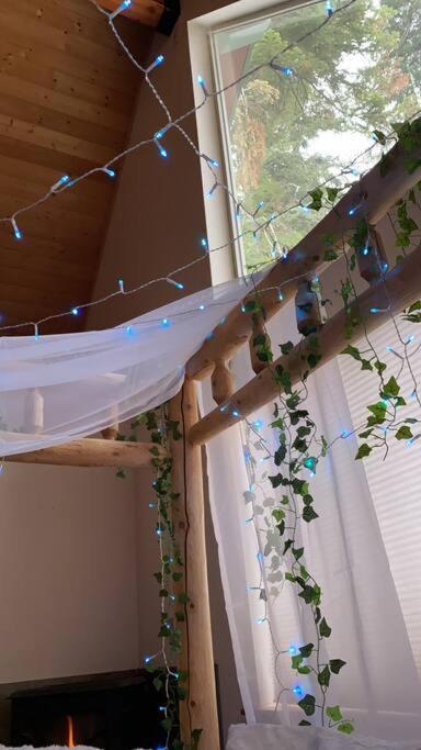 Sweet getaway in private Giant Sequoia Grove! view 2