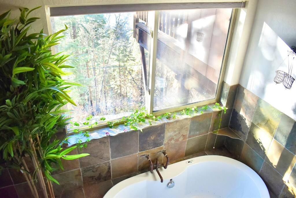 Sweet getaway in private Giant Sequoia Grove! view 4