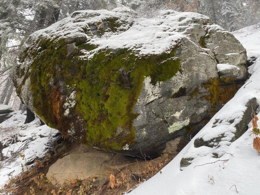 Three Rivers Vacations - Sweet getaway in private Giant Sequoia Grove! - Property Image 4