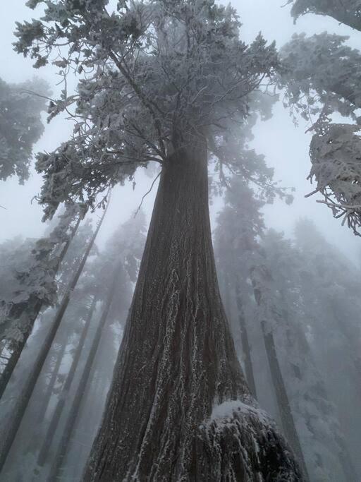Photo 37