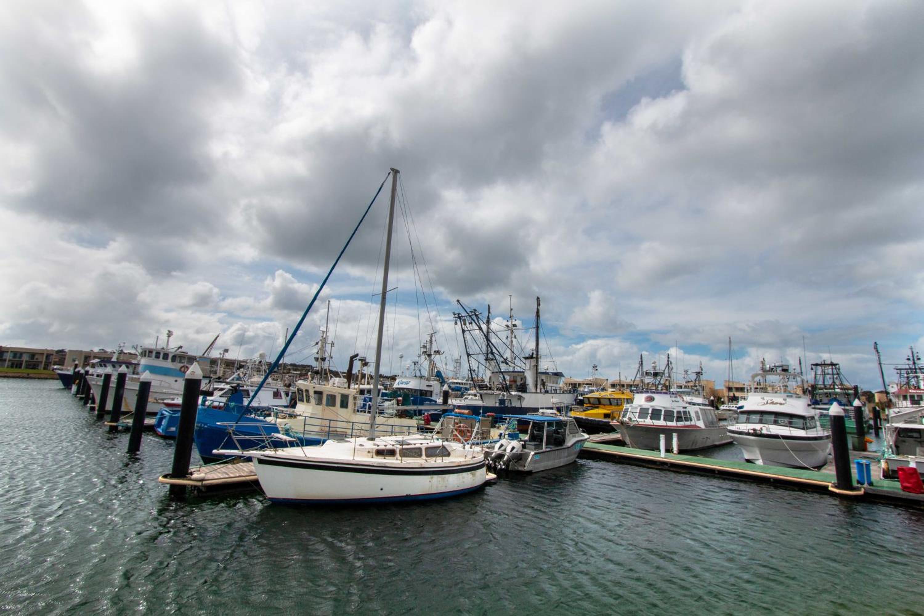 Port Lincoln Marina Waterfront Apartment view 5