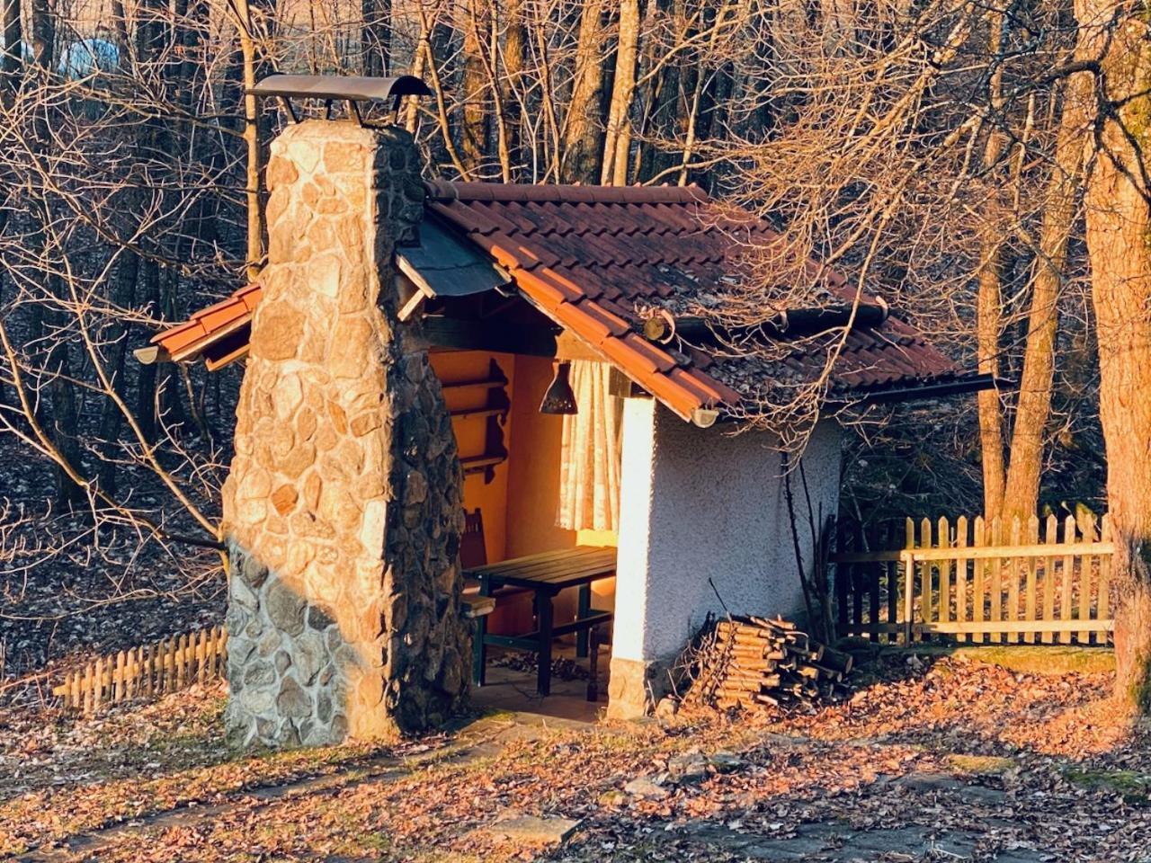 Gartenwohnung im Gut Sonnenwald view 5