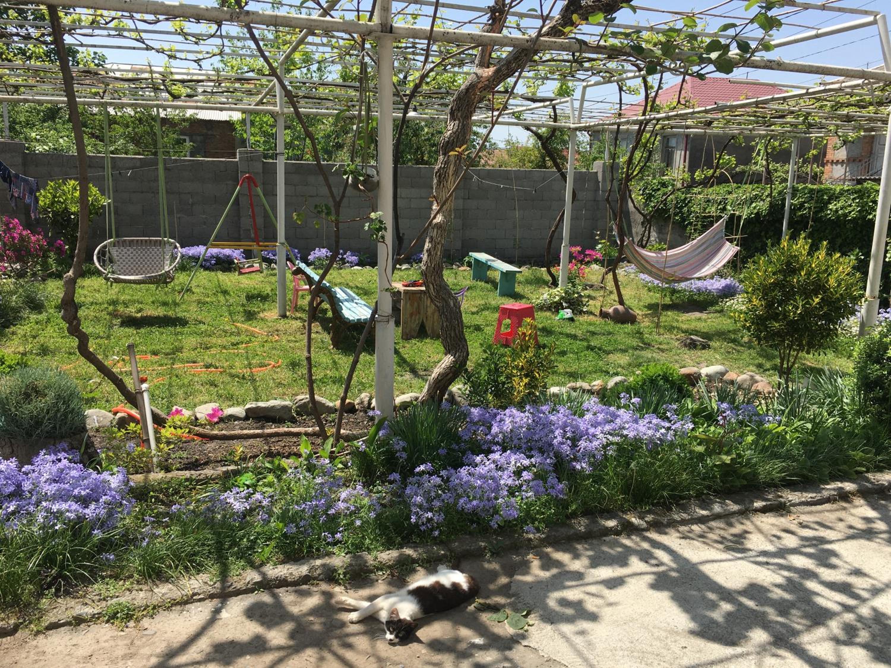 Photo 14