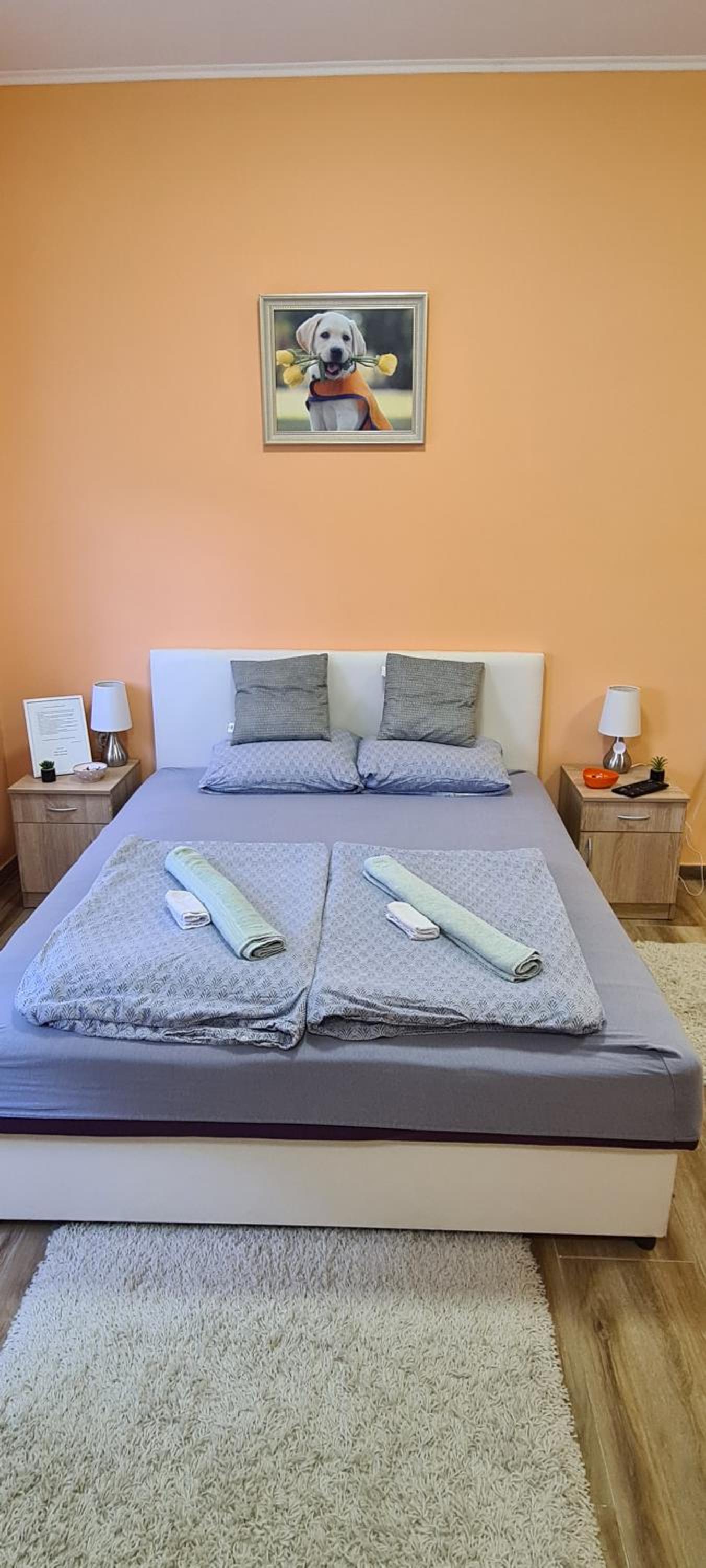 ALES apartman view 4