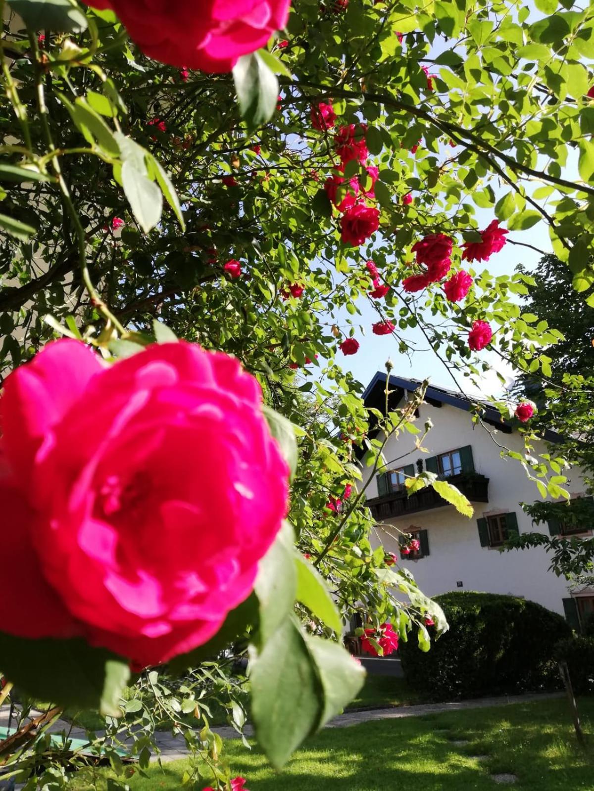 Frühstückspension Helmhof