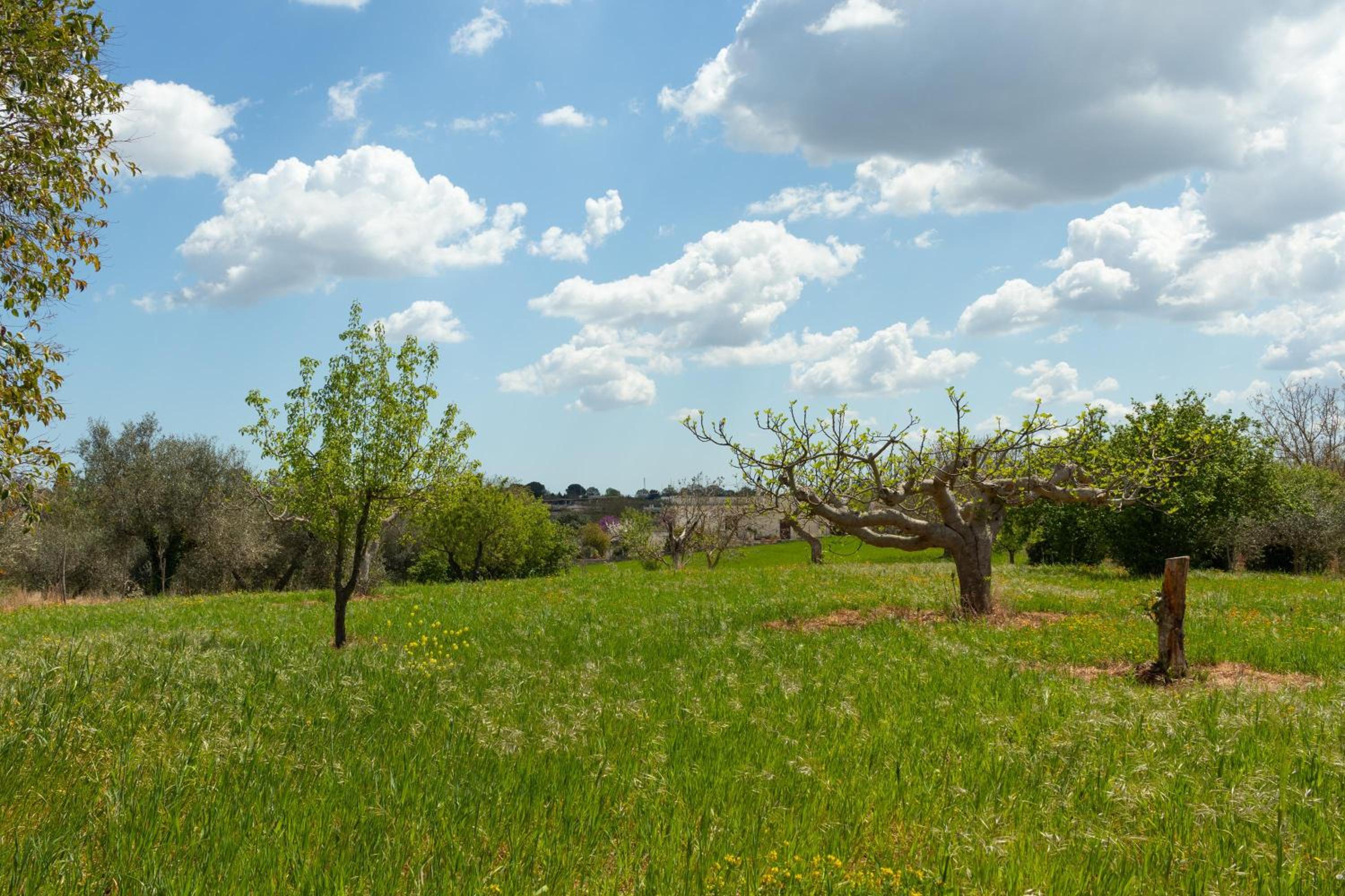 Trulli da Rosy view 3