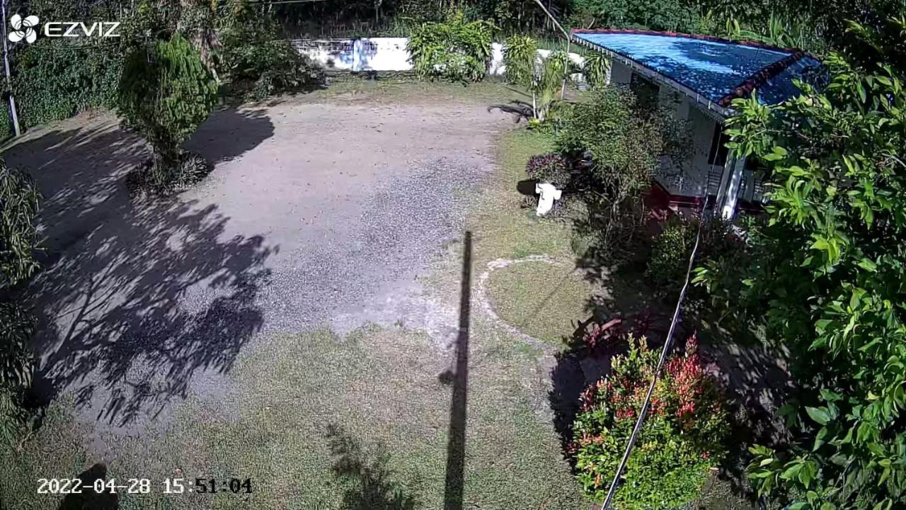 Photo 49