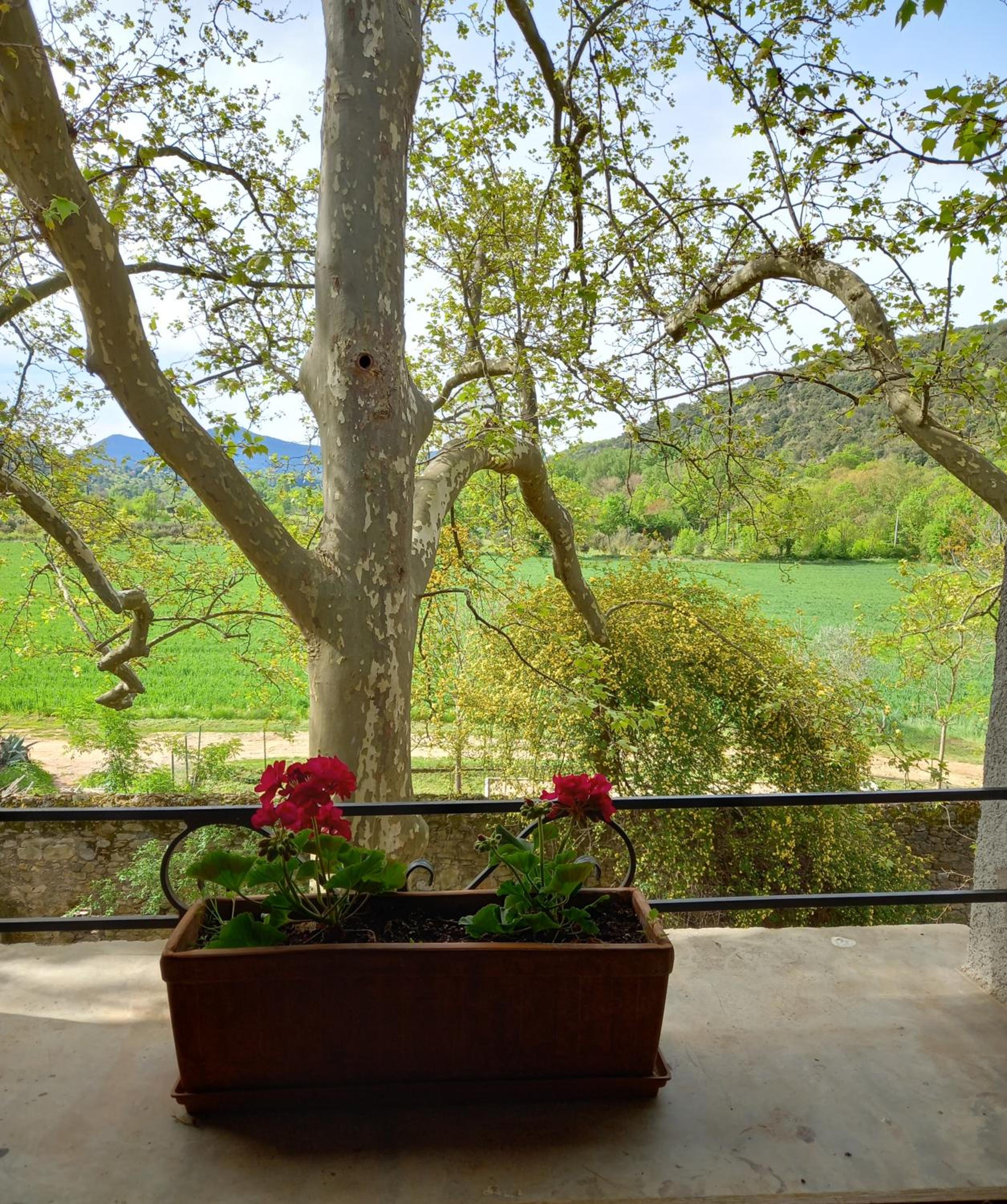 Chambres d'hôtes Domaine de Pélissols, photo 37