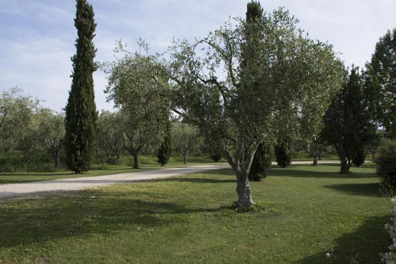 Agriturismo Scuderie della Contea photo 4