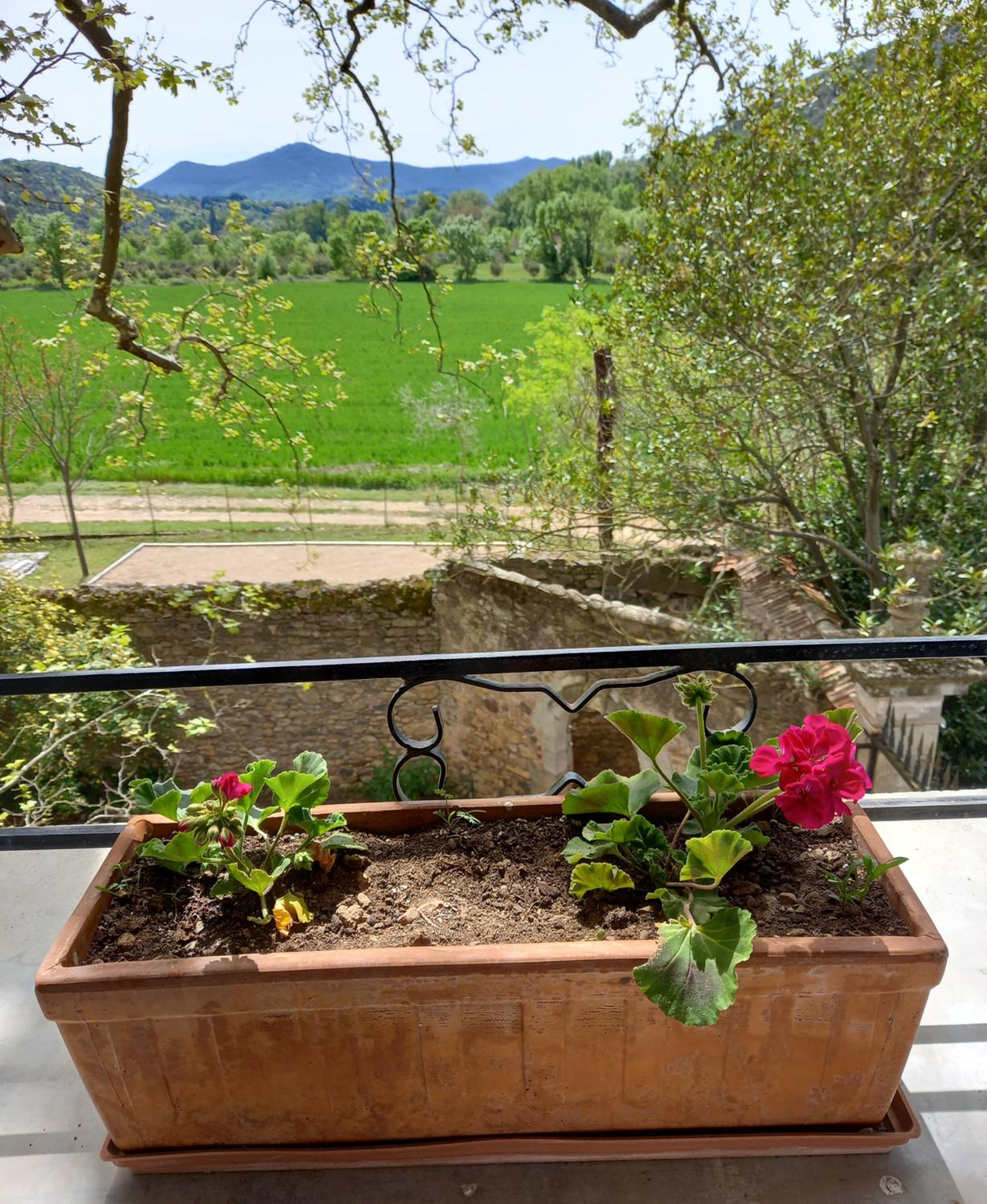 Chambres d'hôtes Domaine de Pélissols, photo 13