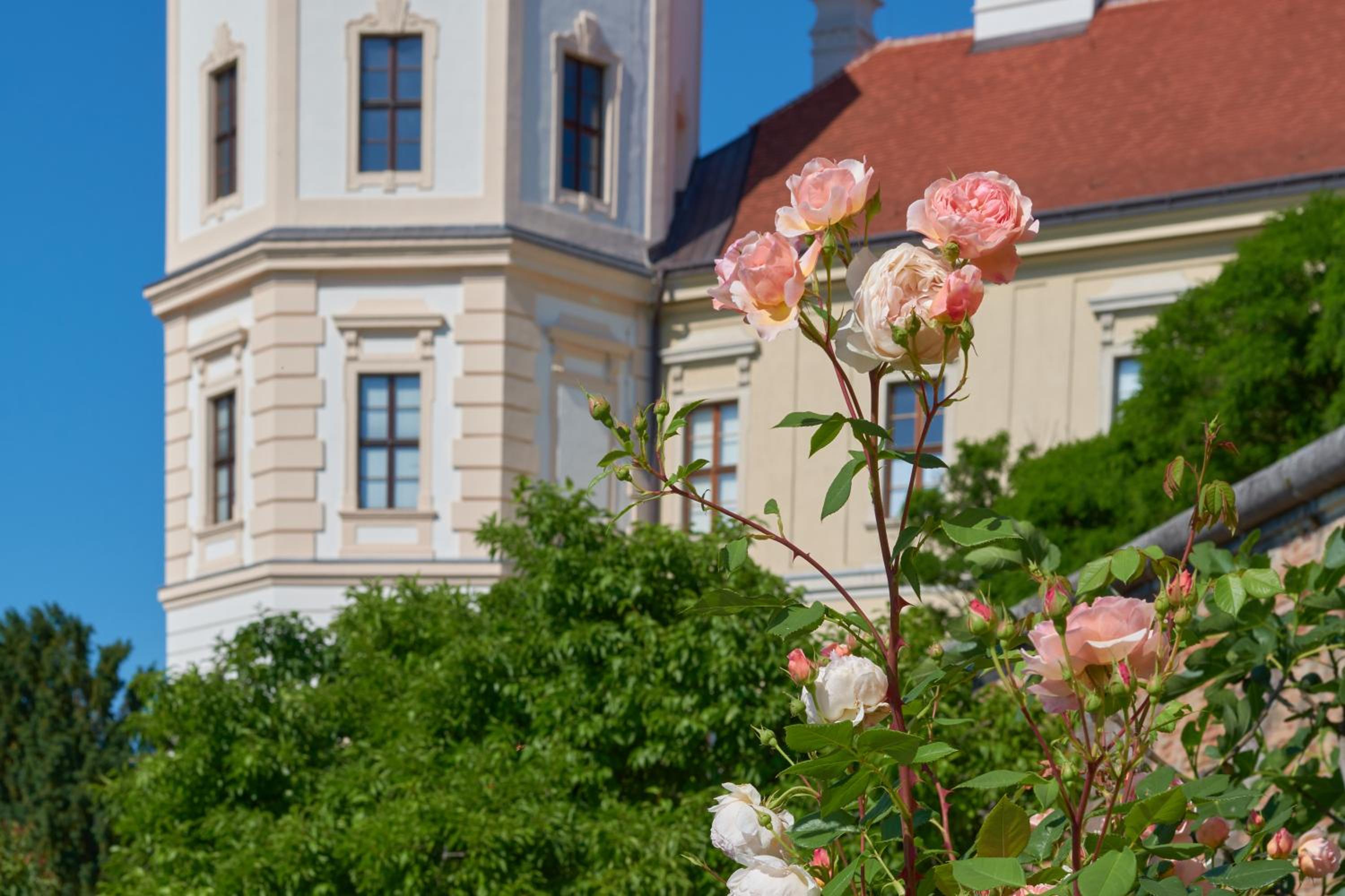 Gästehaus Benediktinerstift Göttweig - Bed & Breakfast Monastery