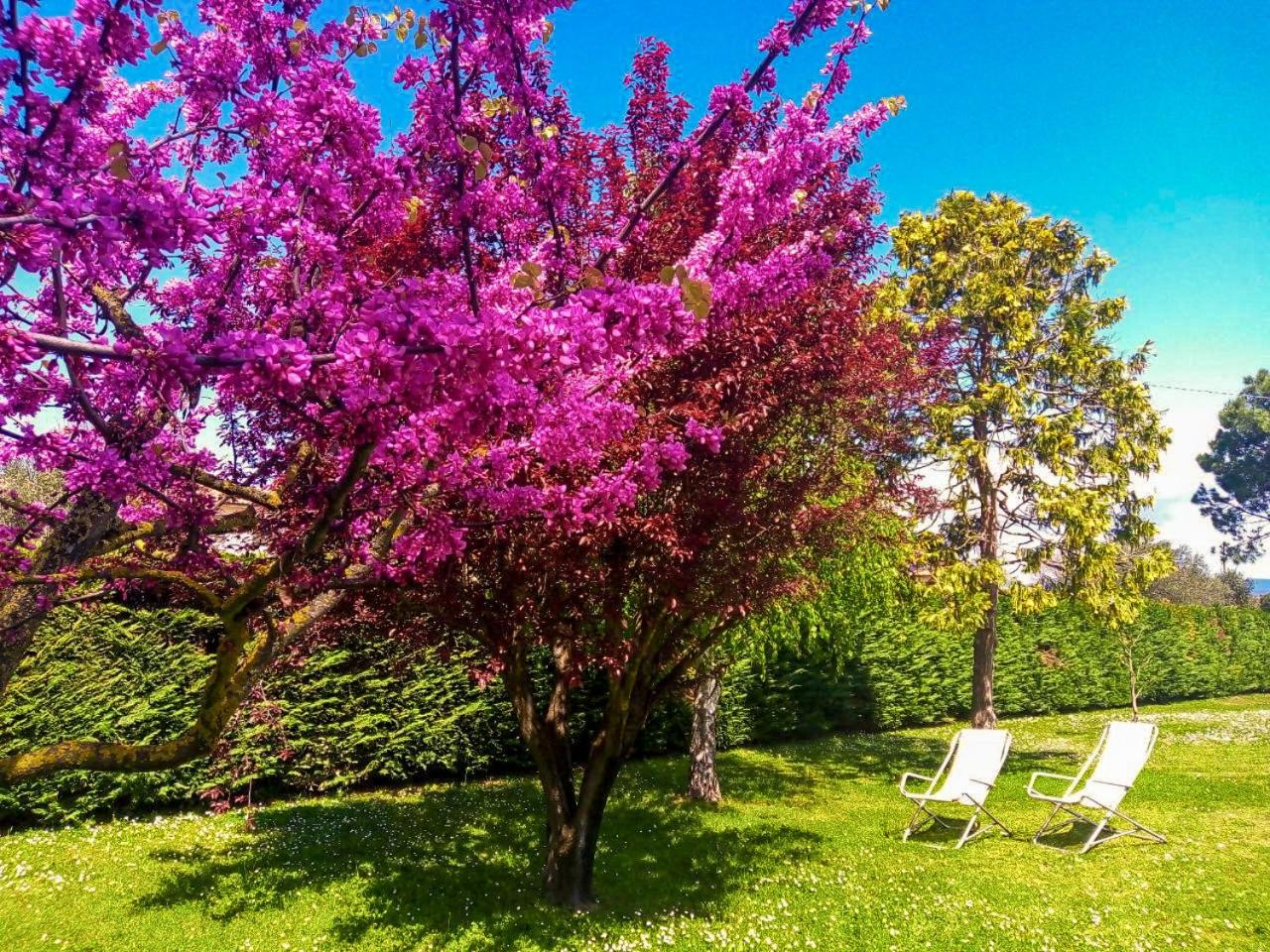 Agriturismo La Piana