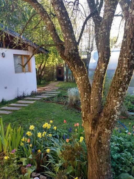 Hermosa Casa cerca del Teleférico Cerro Otto