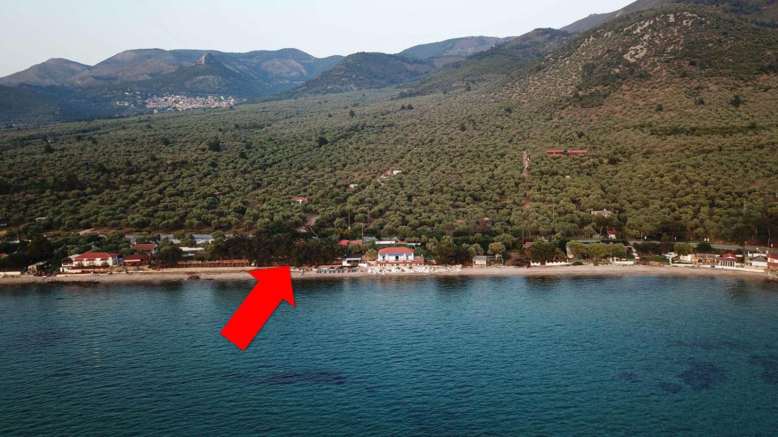 Pine Beach House