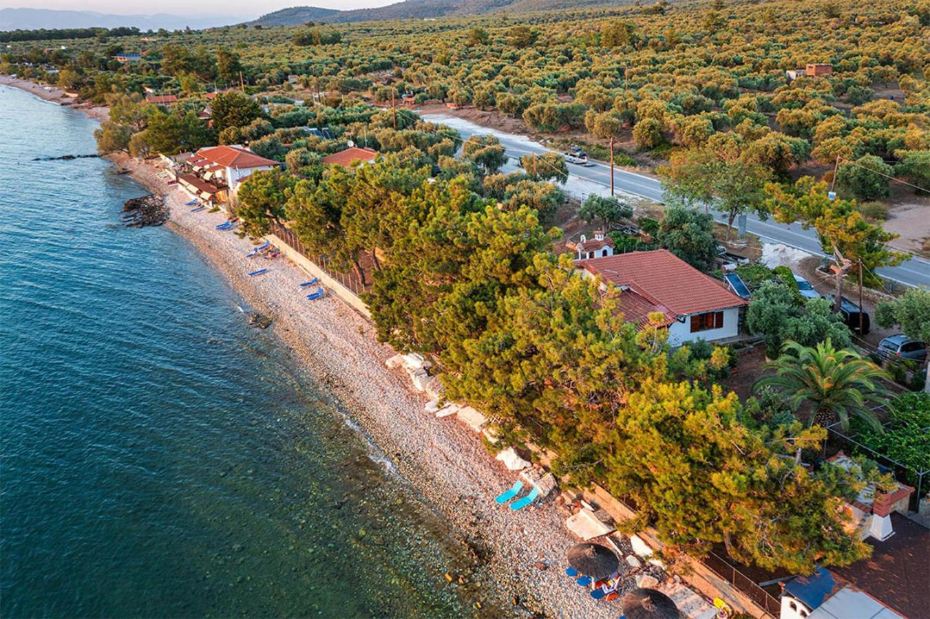 Pine Beach House